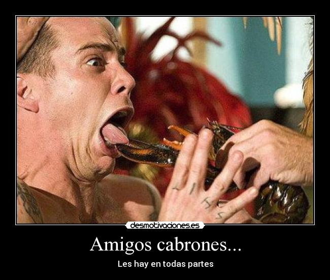 Amigos cabrones... - Les hay en todas partes