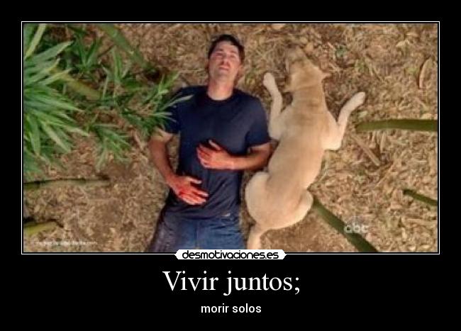 Vivir juntos; -