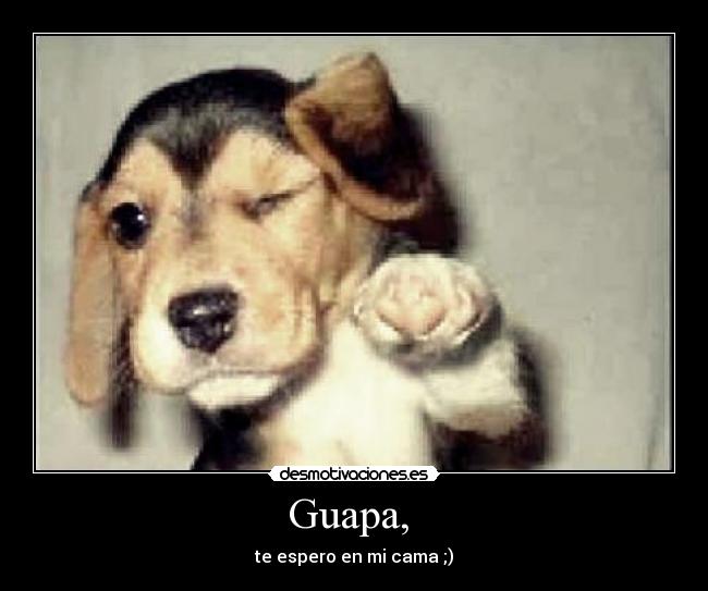 Guapa, - te espero en mi cama ;)