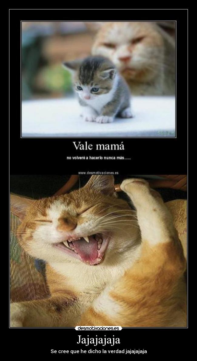 Jajajajaja - Se cree que he dicho la verdad jajajajaja