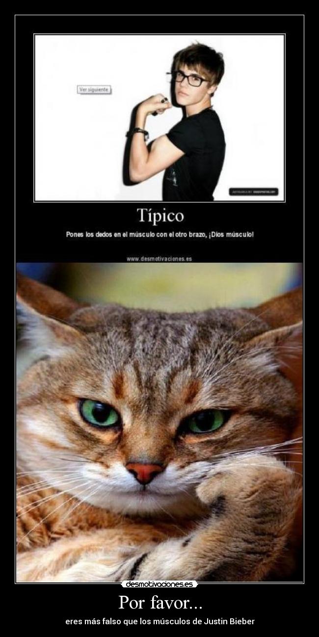 carteles por favor falso musculos justin bieber desmotivaciones