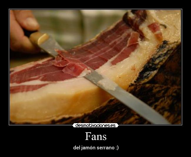 Fans - 