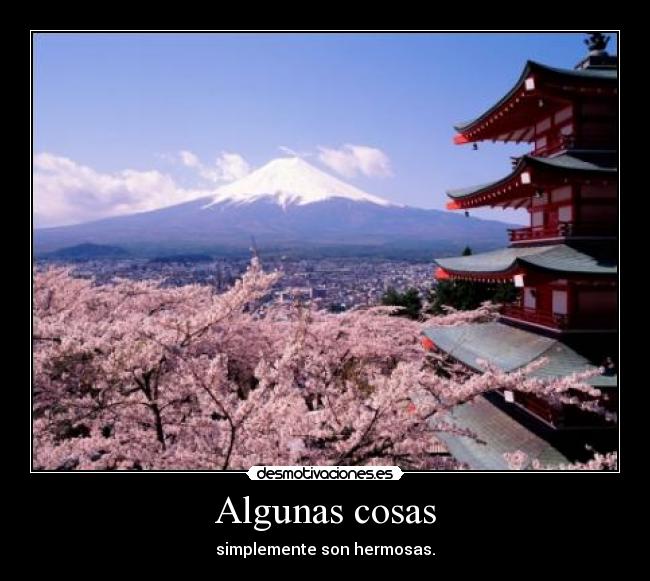 Algunas cosas - simplemente son hermosas.