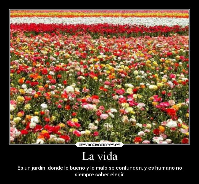 La vida - Es un jardin donde lo bueno y lo malo se confunden, y es humano no
siempre saber elegir.