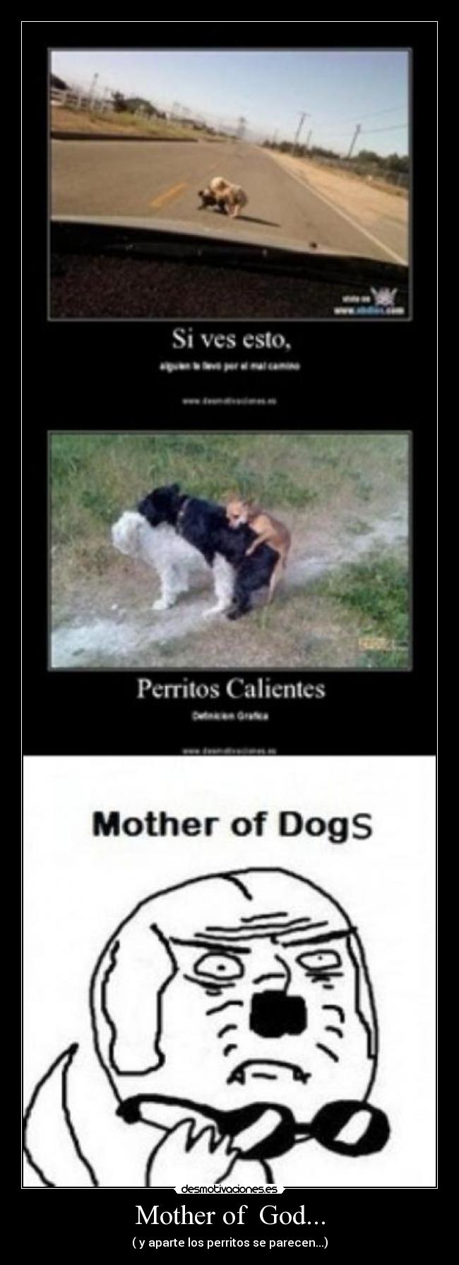 Mother of God... - ( y aparte los perritos se parecen...)
