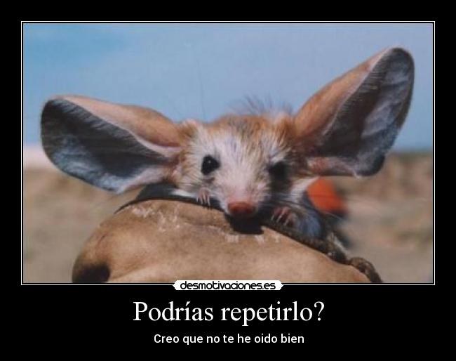 Podrías repetirlo? - Creo que no te he oido bien