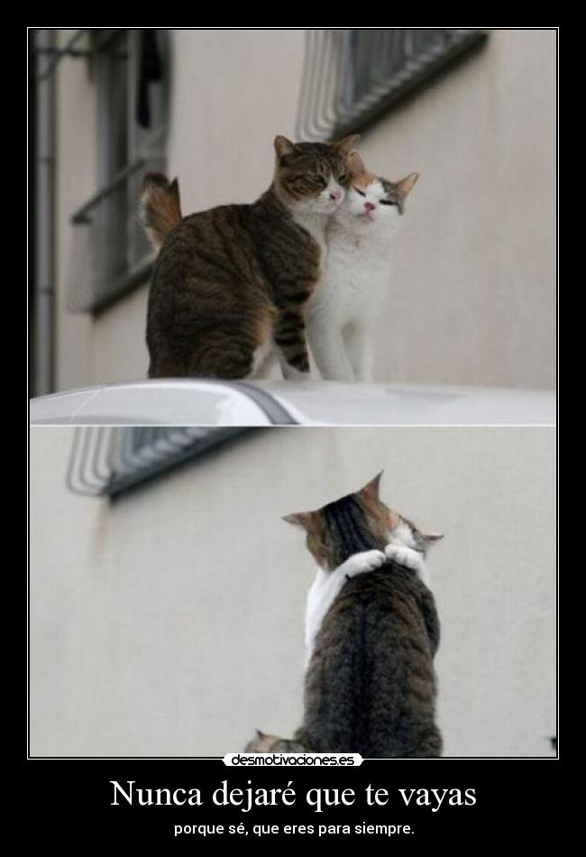 Nunca dejaré que te vayas - 