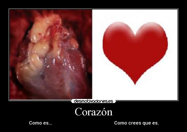 Corazón -