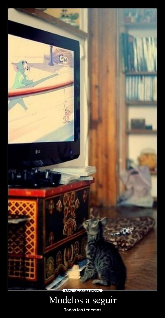 Modelos a seguir - 