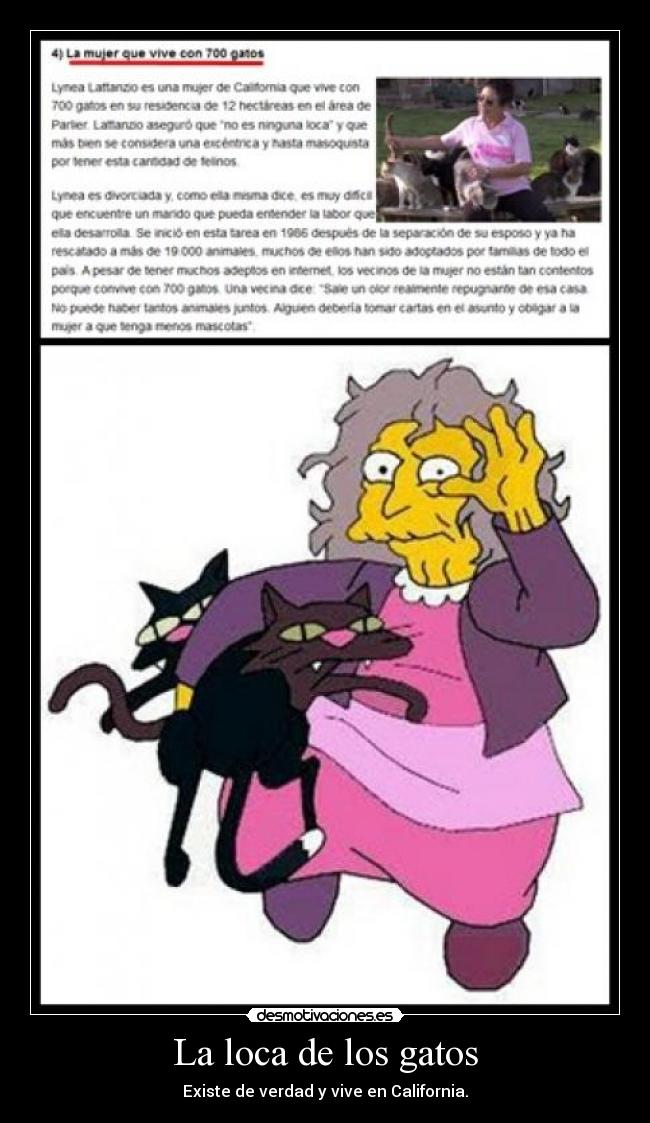 carteles gatos los simpsons loca los gatos desmotivaciones