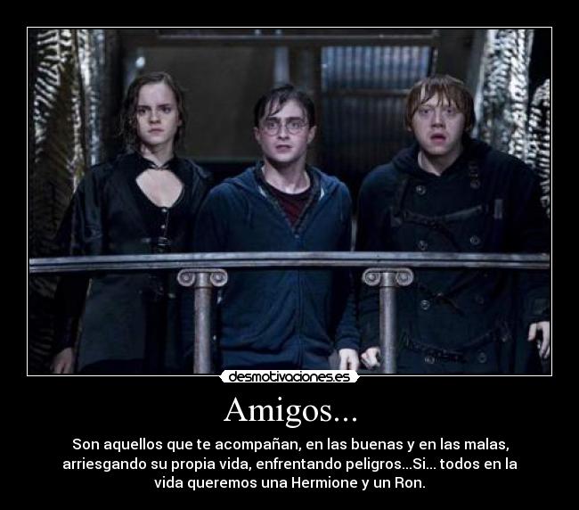 Amigos... - 