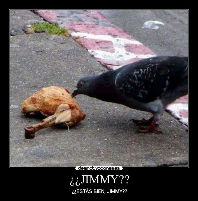 ¿¿JIMMY?? - 