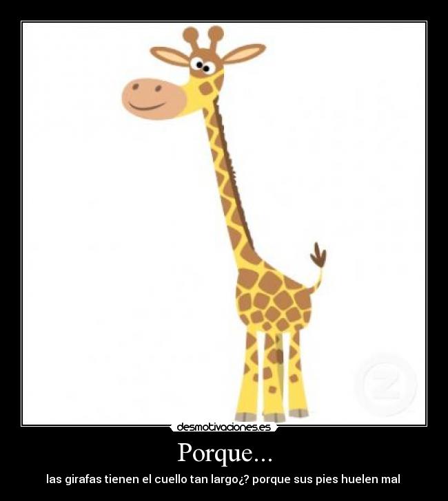 Porque... - las girafas tienen el cuello tan largo¿? porque sus pies huelen mal 