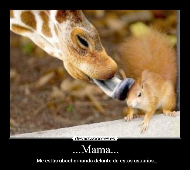 ...Mama... - ...Me estás abochornando delante de estos usuarios...