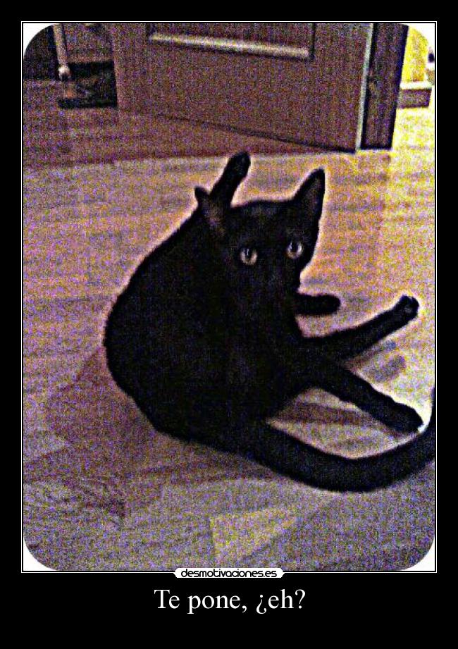 Te pone, ¿eh? -