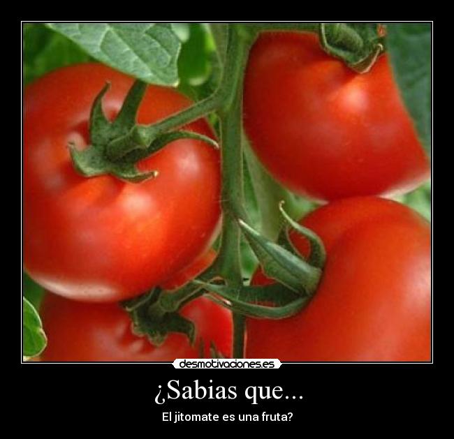¿Sabias que... - El jitomate es una fruta?