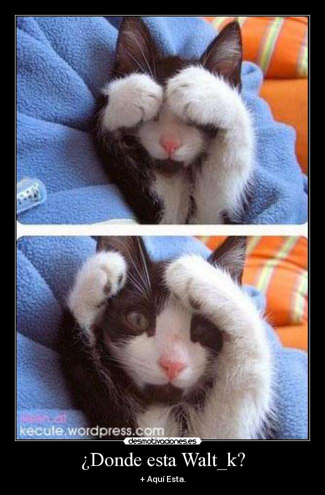 ¿Donde esta Walt_k? - + Aquí Esta.