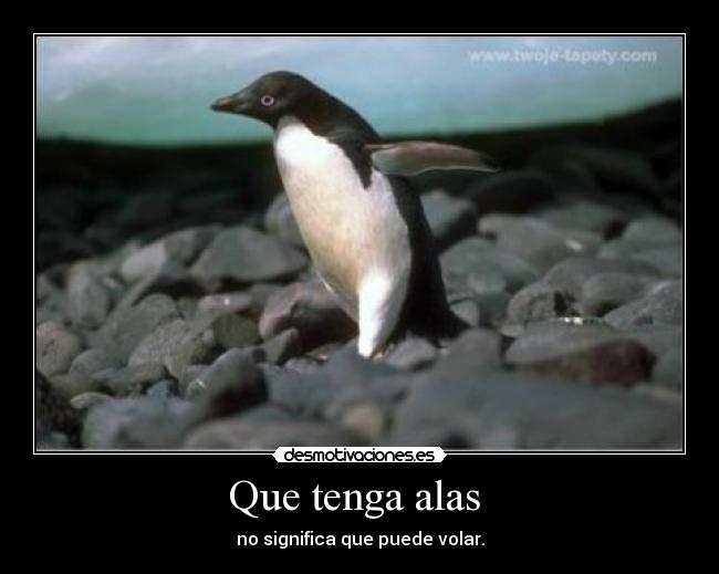 Que tenga alas  - no significa que puede volar.