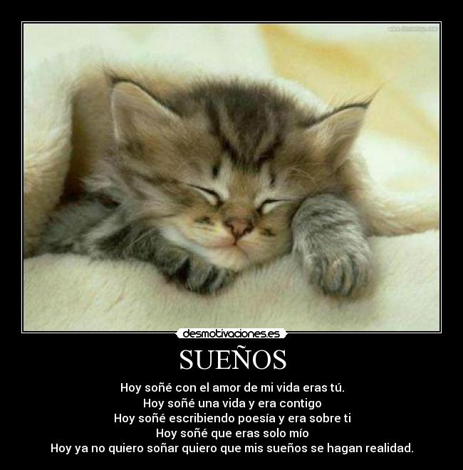 SUEÑOS - Hoy soñé con el amor de mi vida eras tú.
Hoy soñé una vida y era contigo
Hoy soñé escribiendo poesía y era sobre ti
Hoy soñé que eras solo mío
Hoy ya no quiero soñar quiero que mis sueños se hagan realidad.