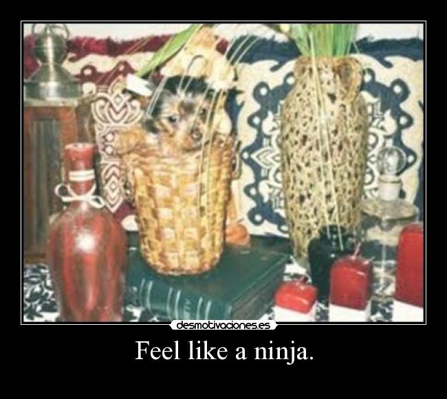 carteles uuuuuyea desmotivaciones