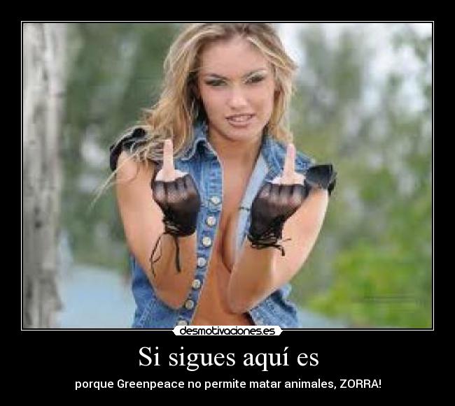 Si sigues aquí es - 