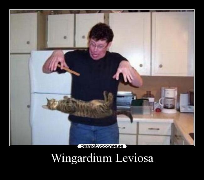 Wingardium Leviosa -