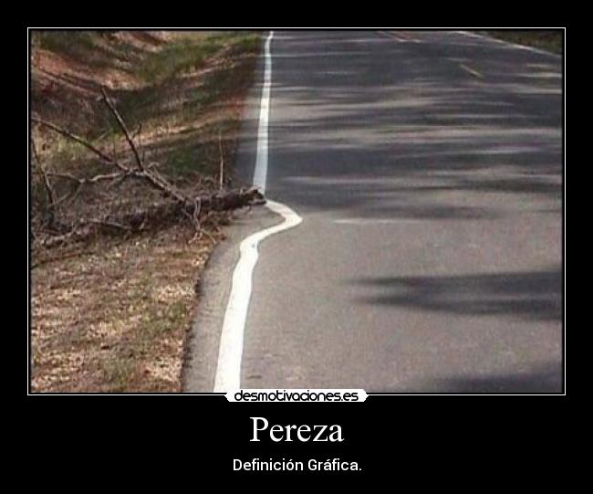 Pereza - Definición Gráfica.