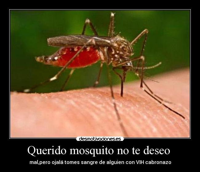 Querido mosquito no te deseo - mal,pero ojalá tomes sangre de alguien con VIH cabronazo