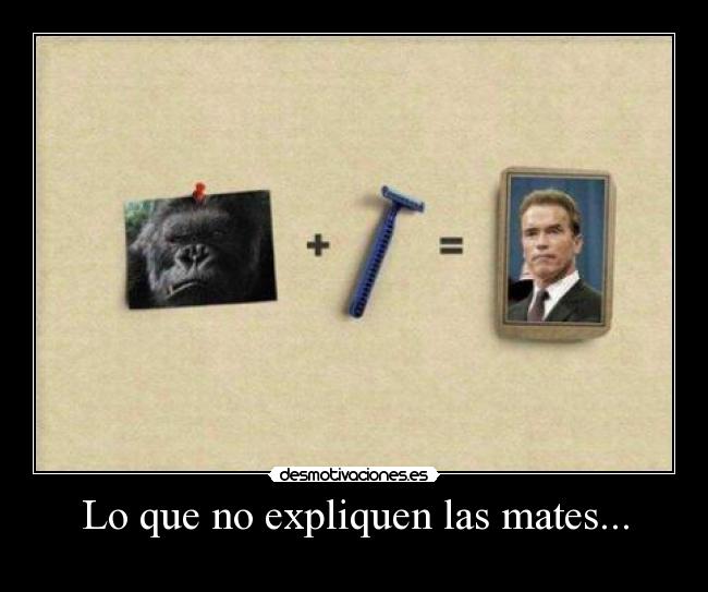 carteles mono desmotivaciones