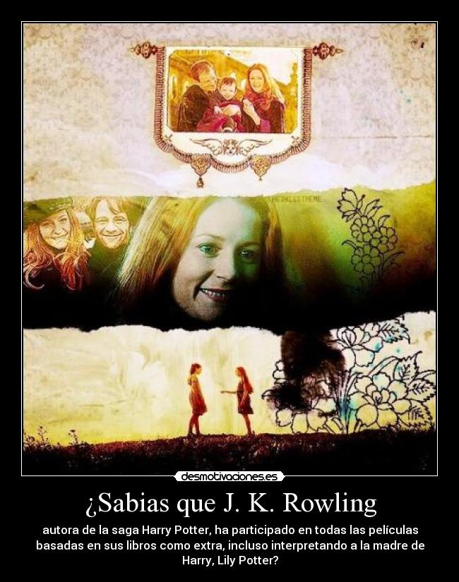 carteles libros harry potter desmotivaciones