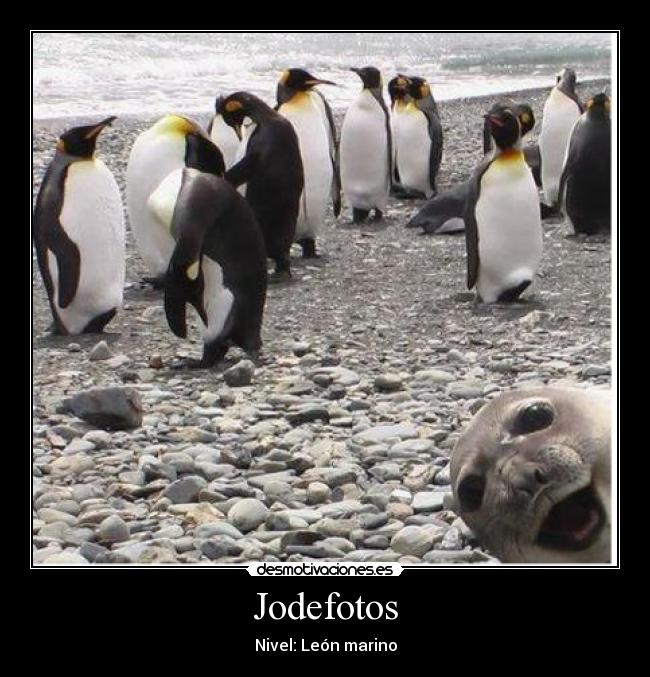 Jodefotos - 