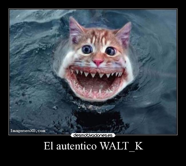 El autentico WALT_K - 