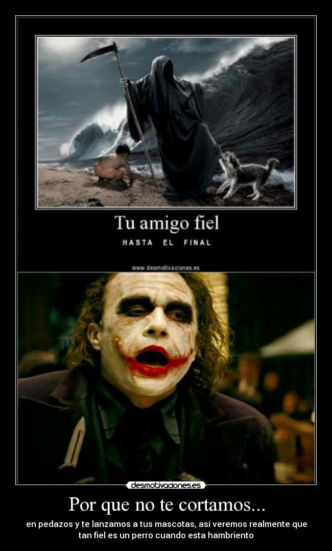 carteles joker batman dark knight perro perros motiva amigo fiel desmotiva desmotivaciones