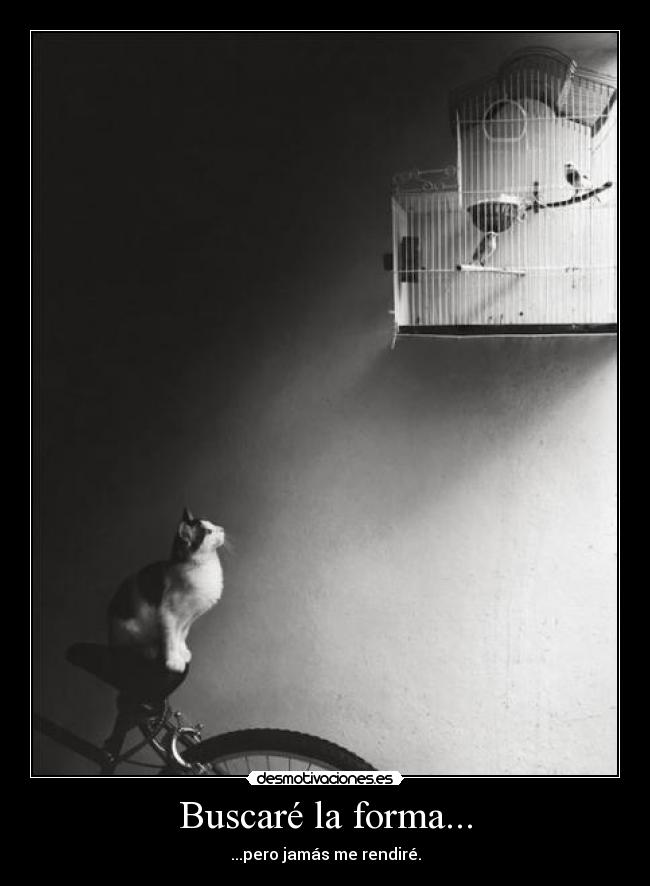 carteles rendirse desmotivaciones