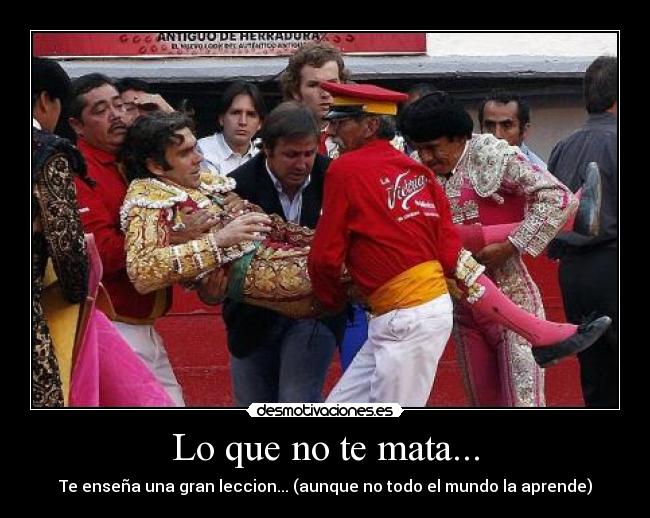 Lo que no te mata... - Te enseña una gran leccion... (aunque no todo el mundo la aprende)
