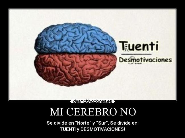 MI CEREBRO NO -