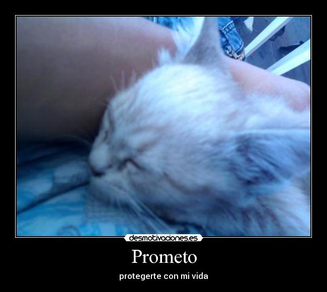 Prometo - 