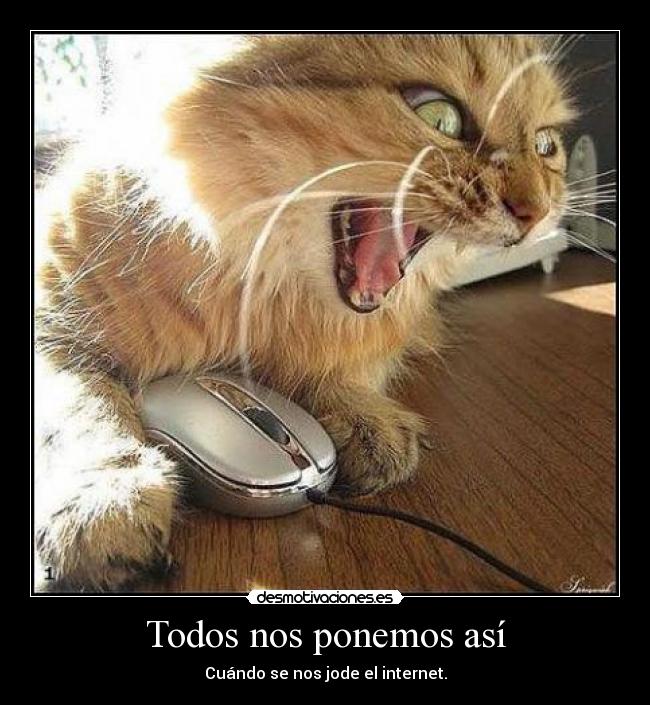 Todos nos ponemos así - Cuándo se nos jode el internet.