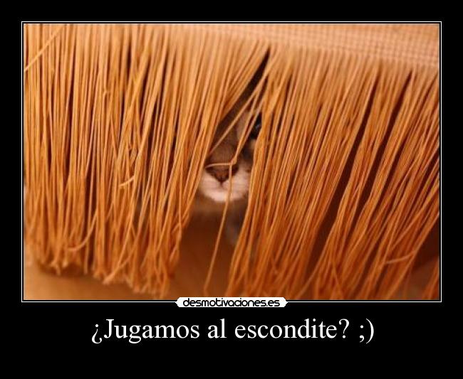 ¿Jugamos al escondite? ;) - 