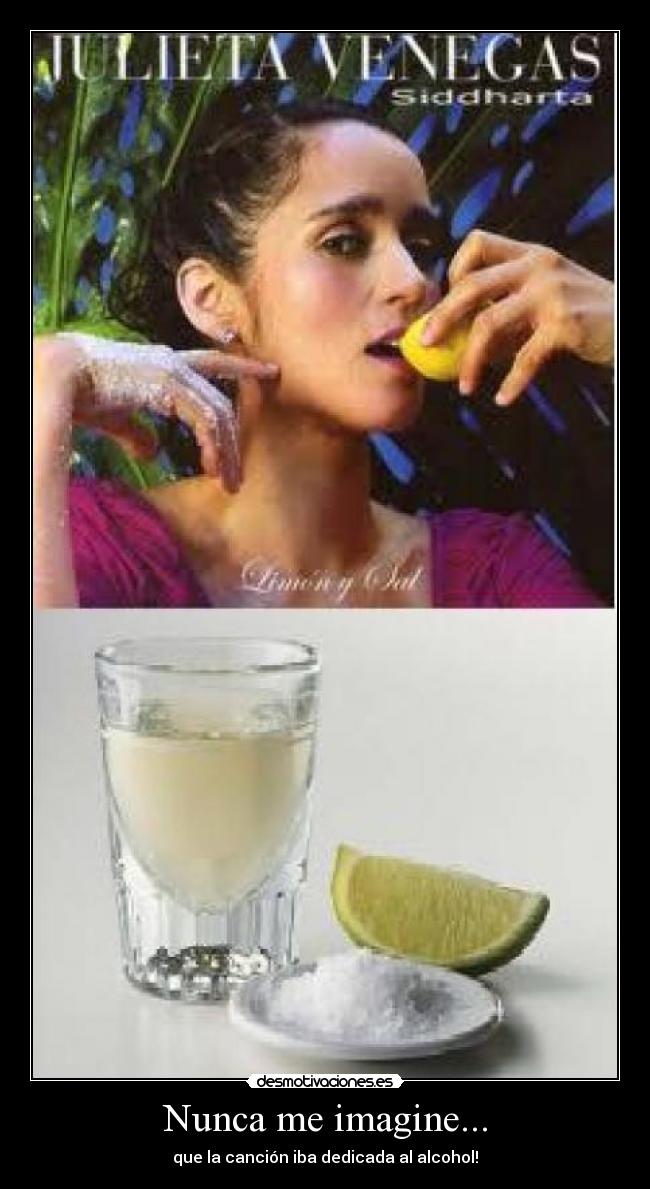 Nunca me imagine... - que la canción iba dedicada al alcohol!