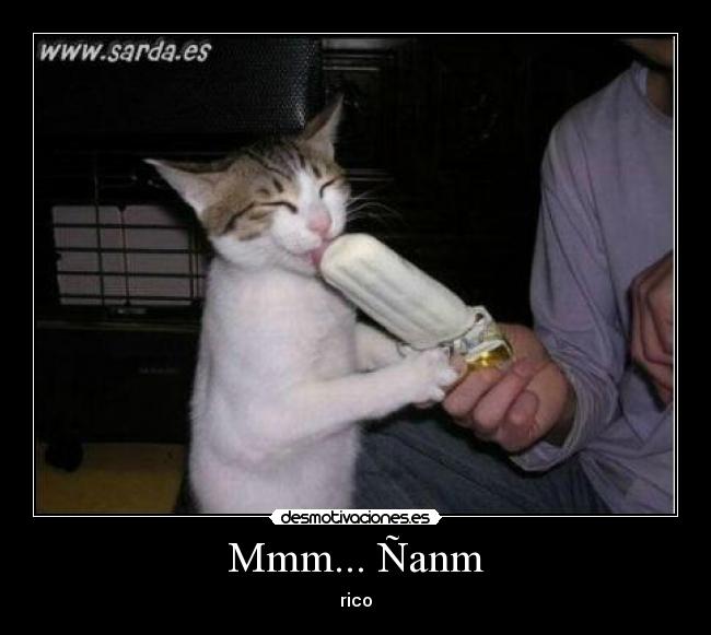 Mmm... Ñanm - 