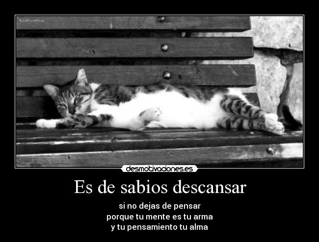 Es de sabios descansar -