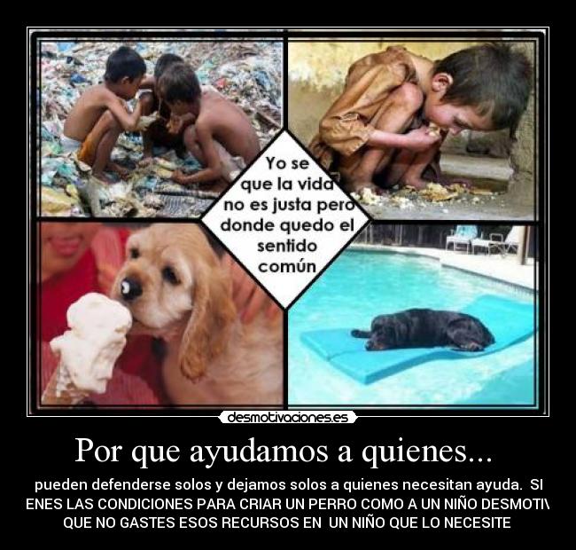 Por que ayudamos a quienes... - pueden defenderse solos y dejamos solos a quienes necesitan ayuda. SI
TIENES LAS CONDICIONES PARA CRIAR UN PERRO COMO A UN NIÑO DESMOTIVA
QUE NO GASTES ESOS RECURSOS EN UN NIÑO QUE LO NECESITE