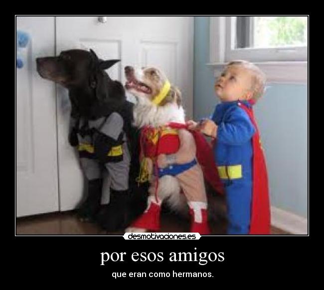 por esos amigos - 