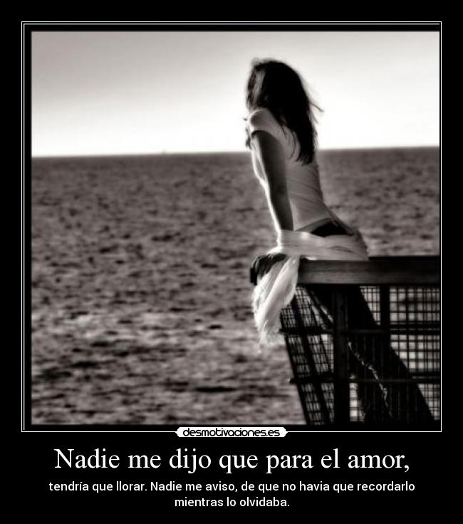 Nadie me dijo que para el amor, - tendría que llorar. Nadie me aviso, de que no havia que recordarlo
mientras lo olvidaba.