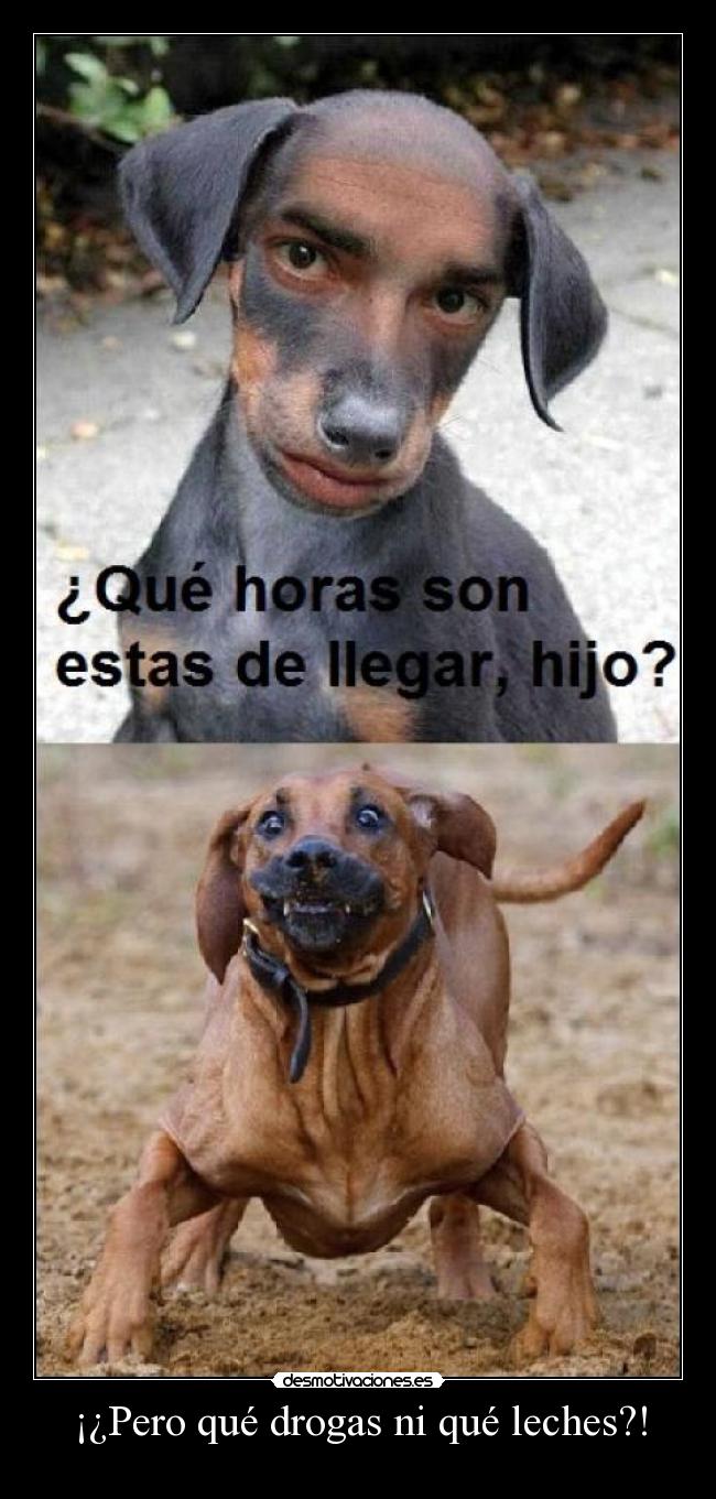 ¡¿Pero qué drogas ni qué leches?! - 