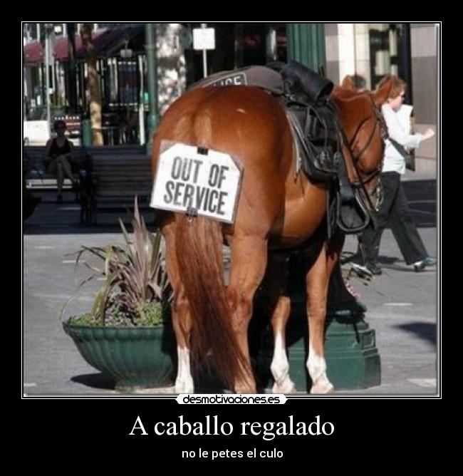A caballo regalado - no le petes el culo