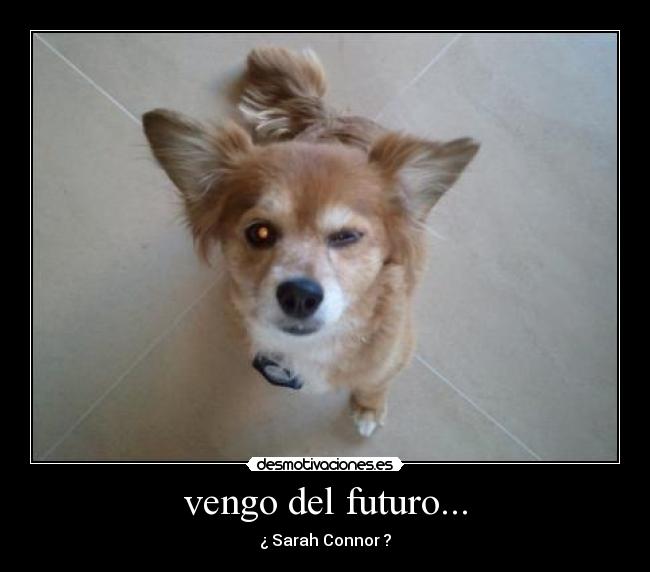 vengo del futuro... - ¿ Sarah Connor ?