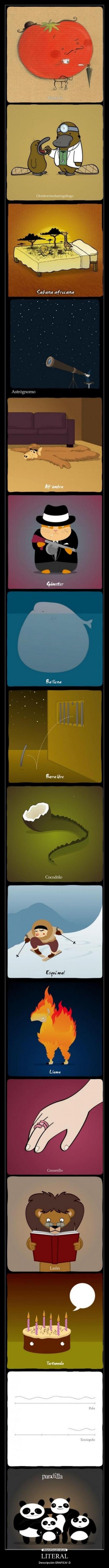 carteles literal osos bakano mujeres desmotiva grafica descripcion desmotivaciones