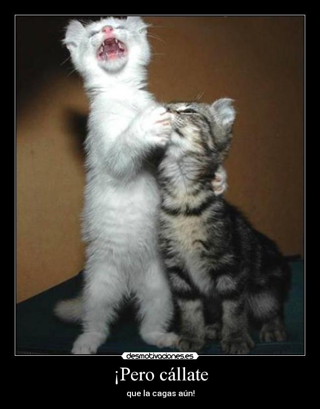 ¡Pero cállate - que la cagas aún!